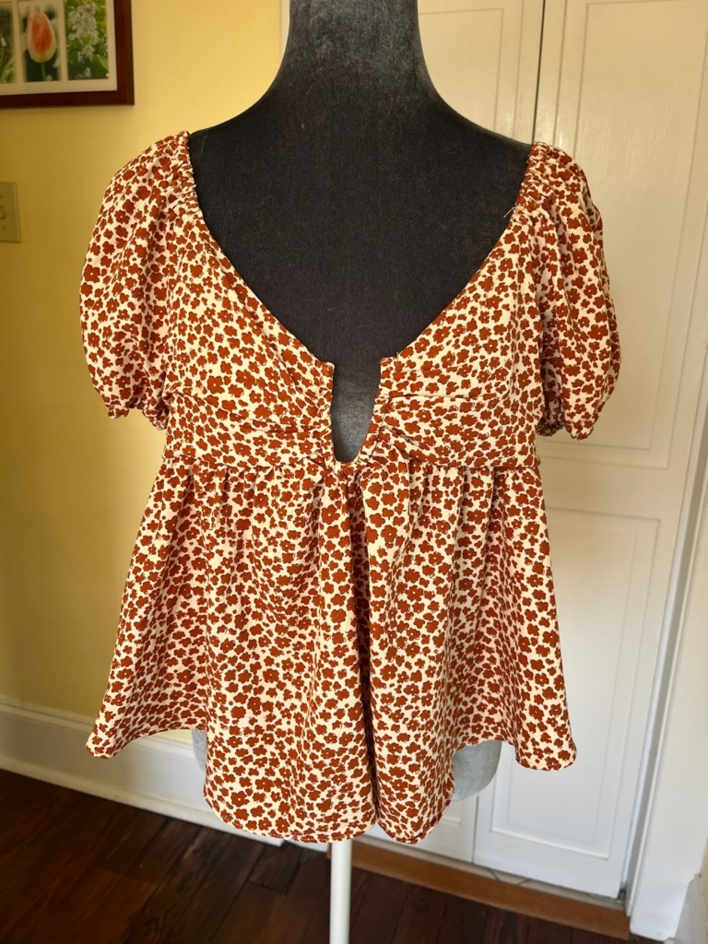 Vici Rust and Cream Floral Babydoll Top